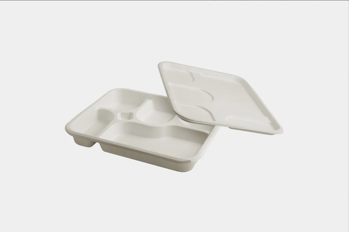 5 Compartments Meal Tray-1