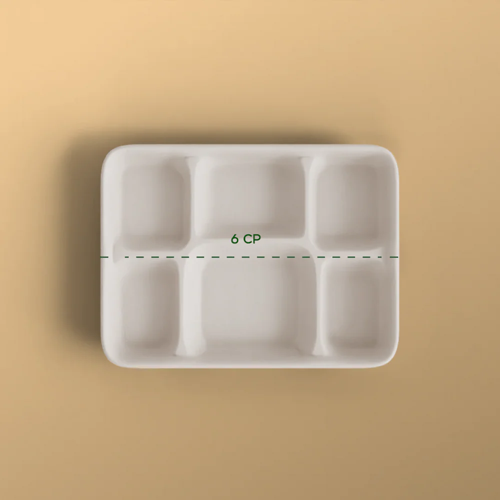 6 Compartments Meal Tray-1