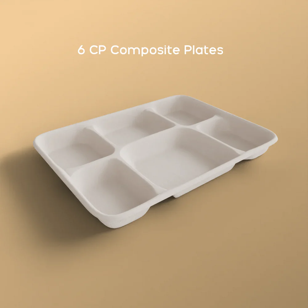 6 Compartments Meal Tray-2