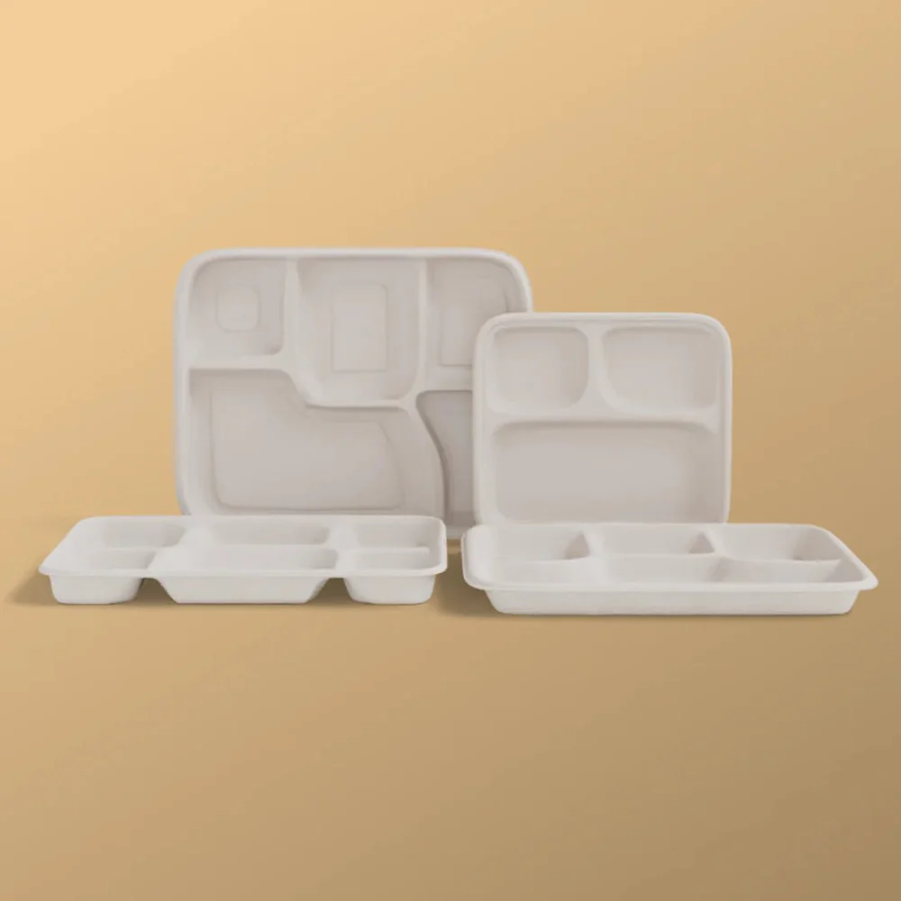6 Compartments Meal Tray-3