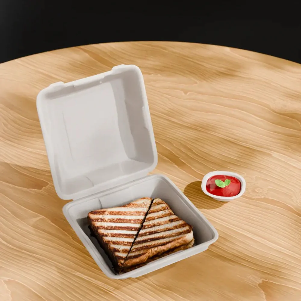 Clamshell 9x9 inch-4