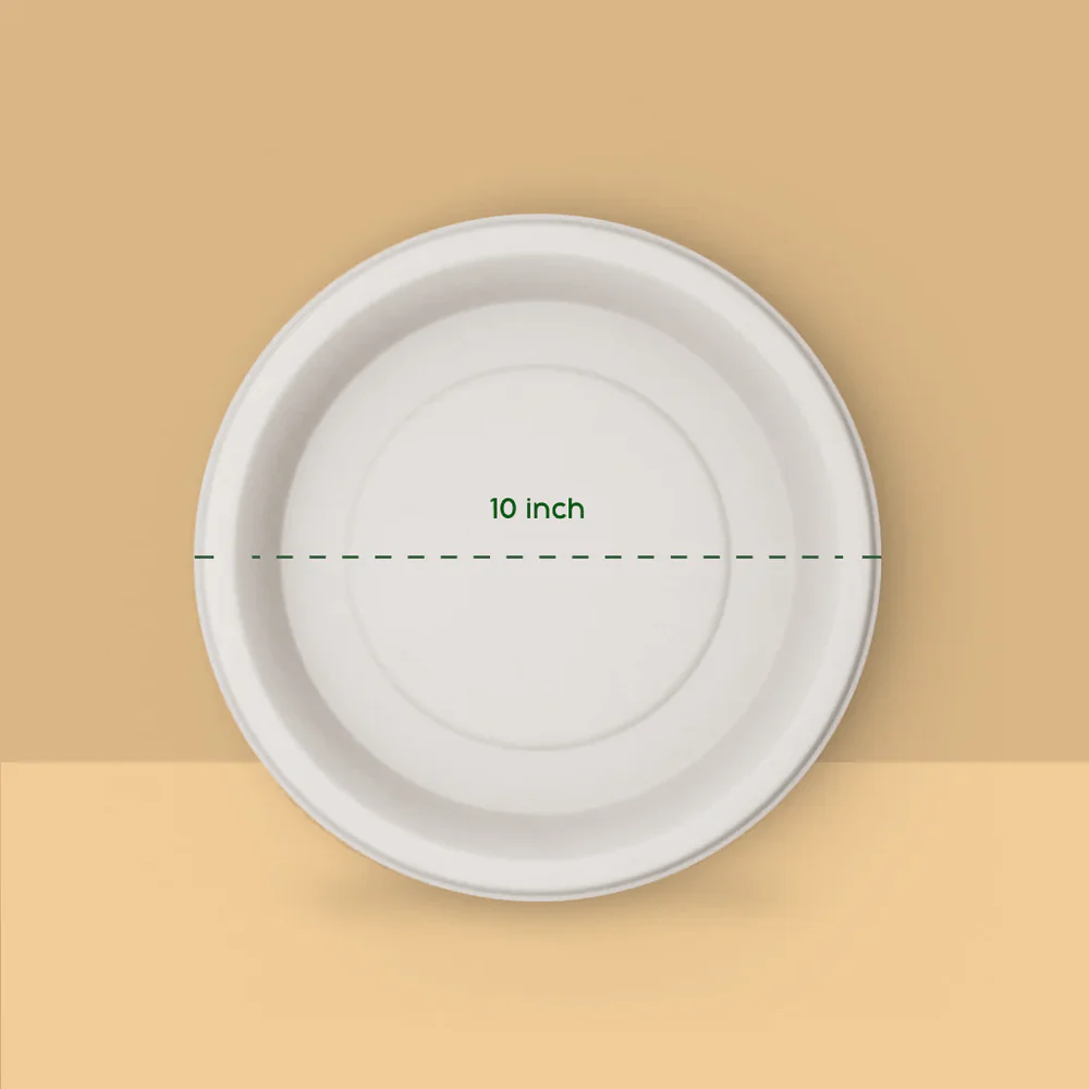 Round Plate 10 inch